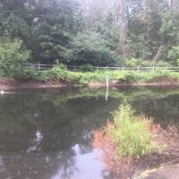 Annual Vegetation Management Plan