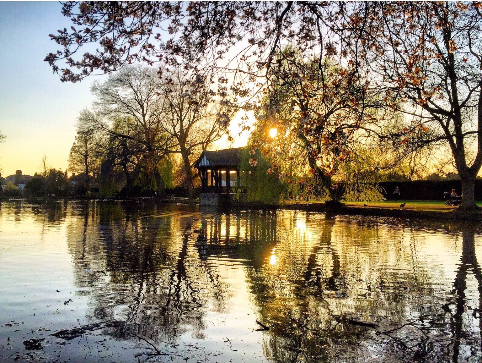 The sun is shining through the trees over a lake