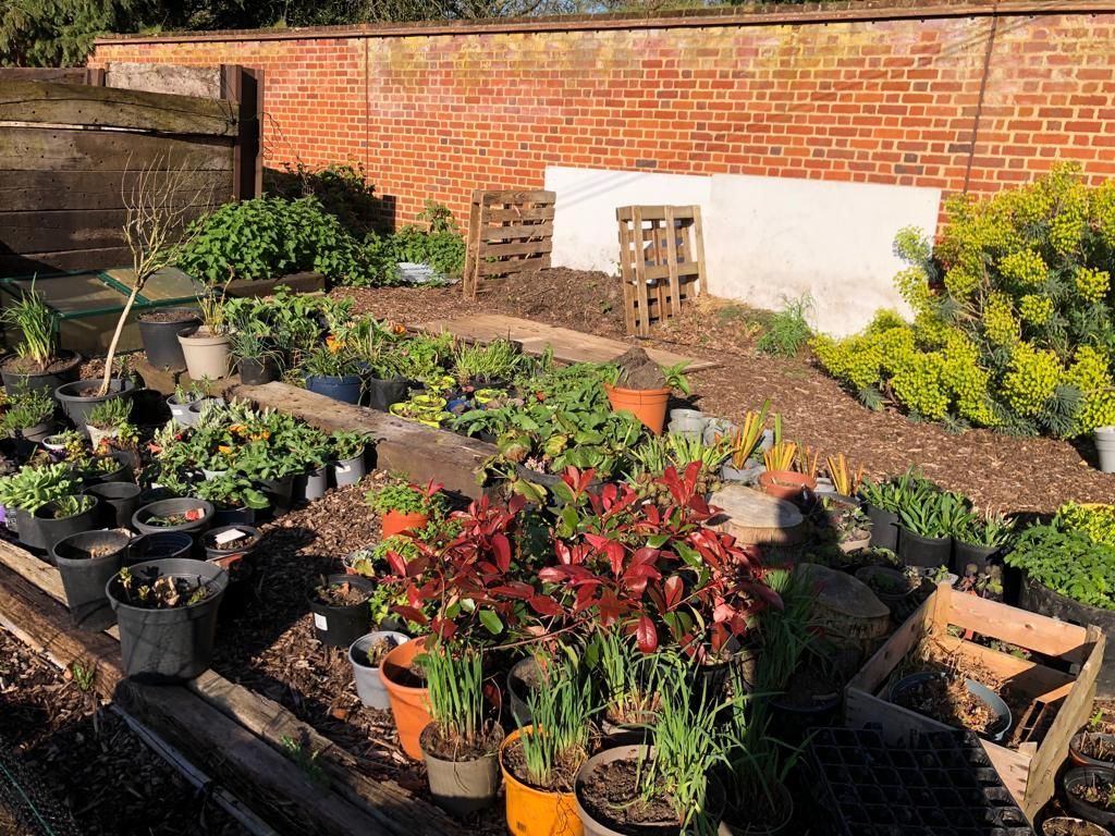 A garden filled with lots of potted plants and a brick wall.