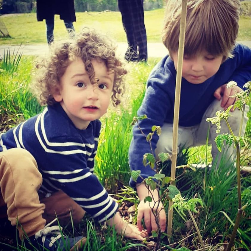 Two young boys are planting a tree in a field