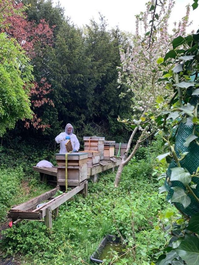 A man is standing next to a beehive in a garden.