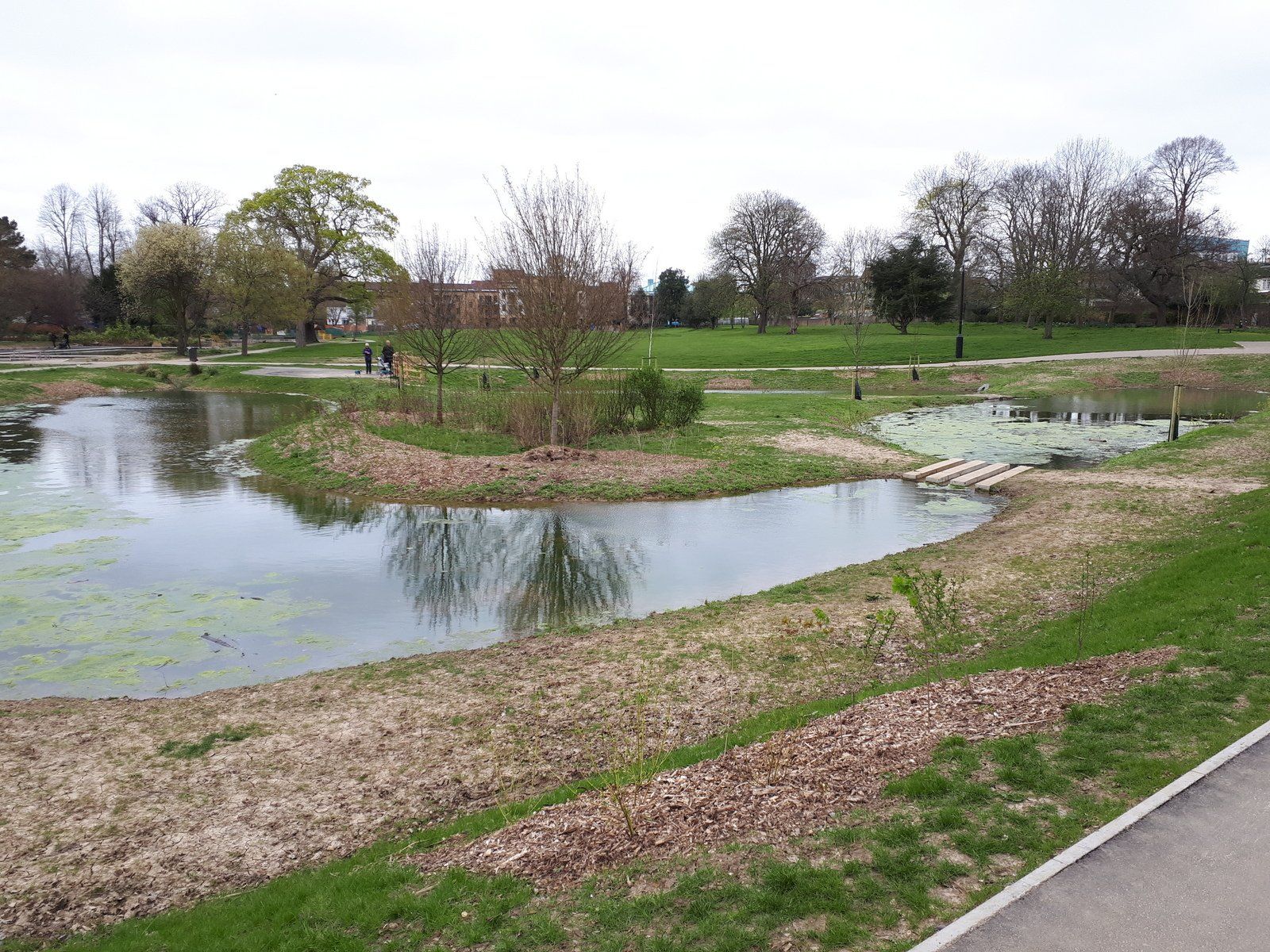 Enfield Town Park Wetland