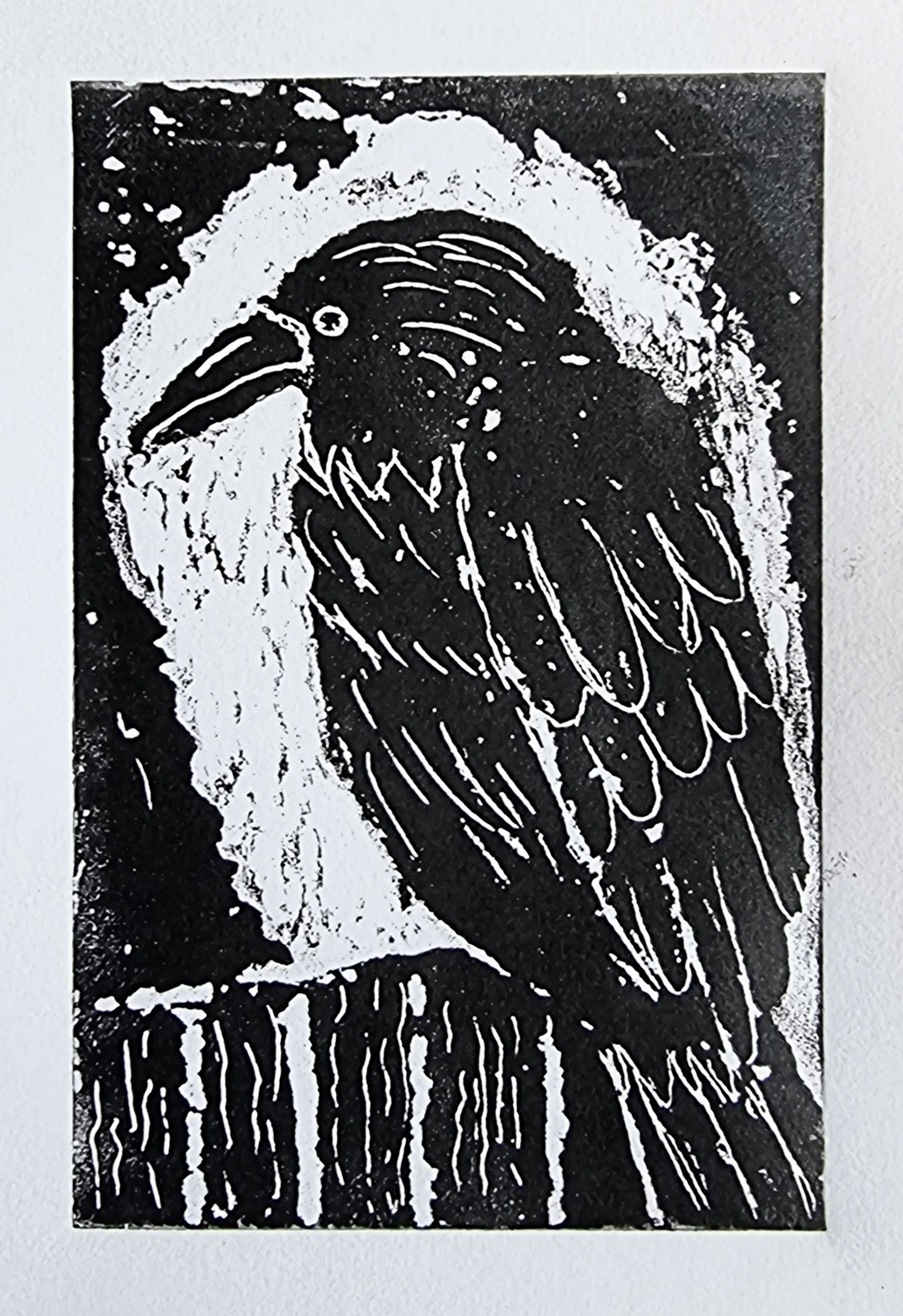 A black and white drawing of a bird with a large beak