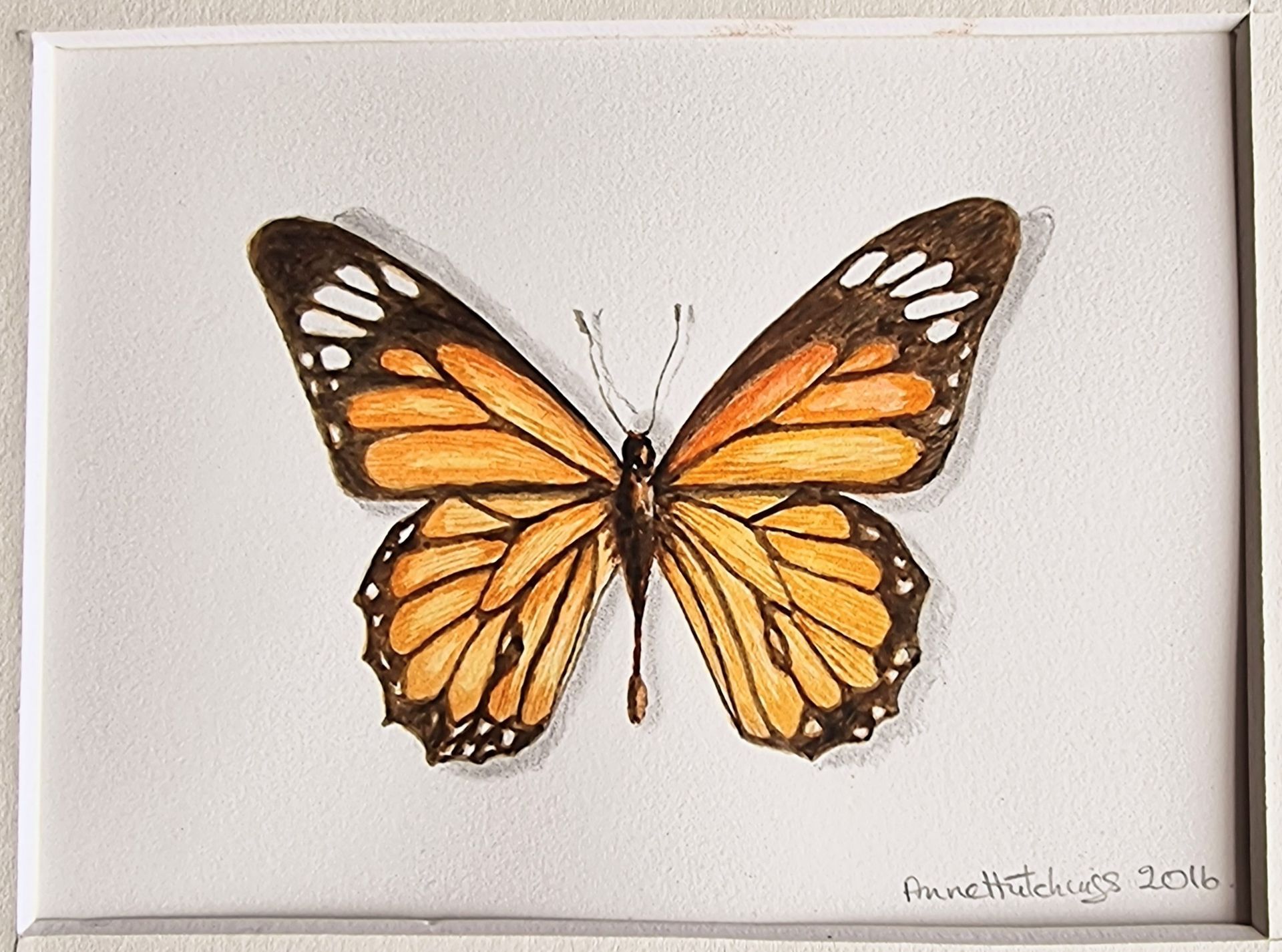 A painting of a butterfly with the year 2016 on the bottom
