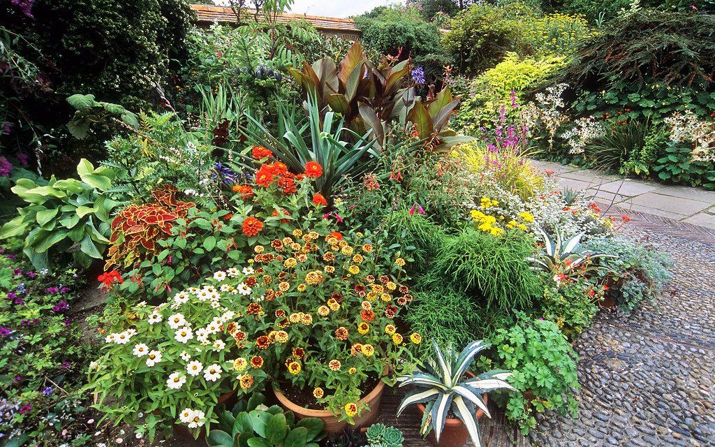 A garden filled with lots of flowers and plants