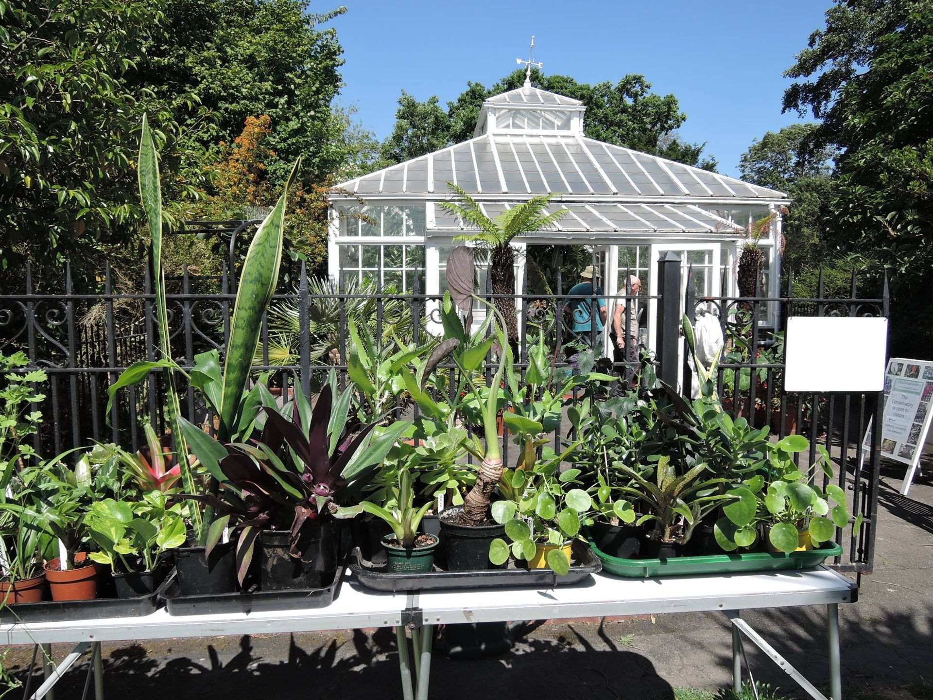 A table full of potted plants in front of a greenhouse