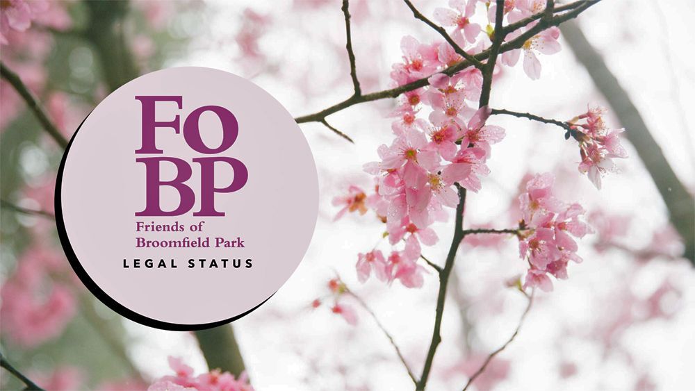 picture of tree blossom forms cover of downloadable document about legal status