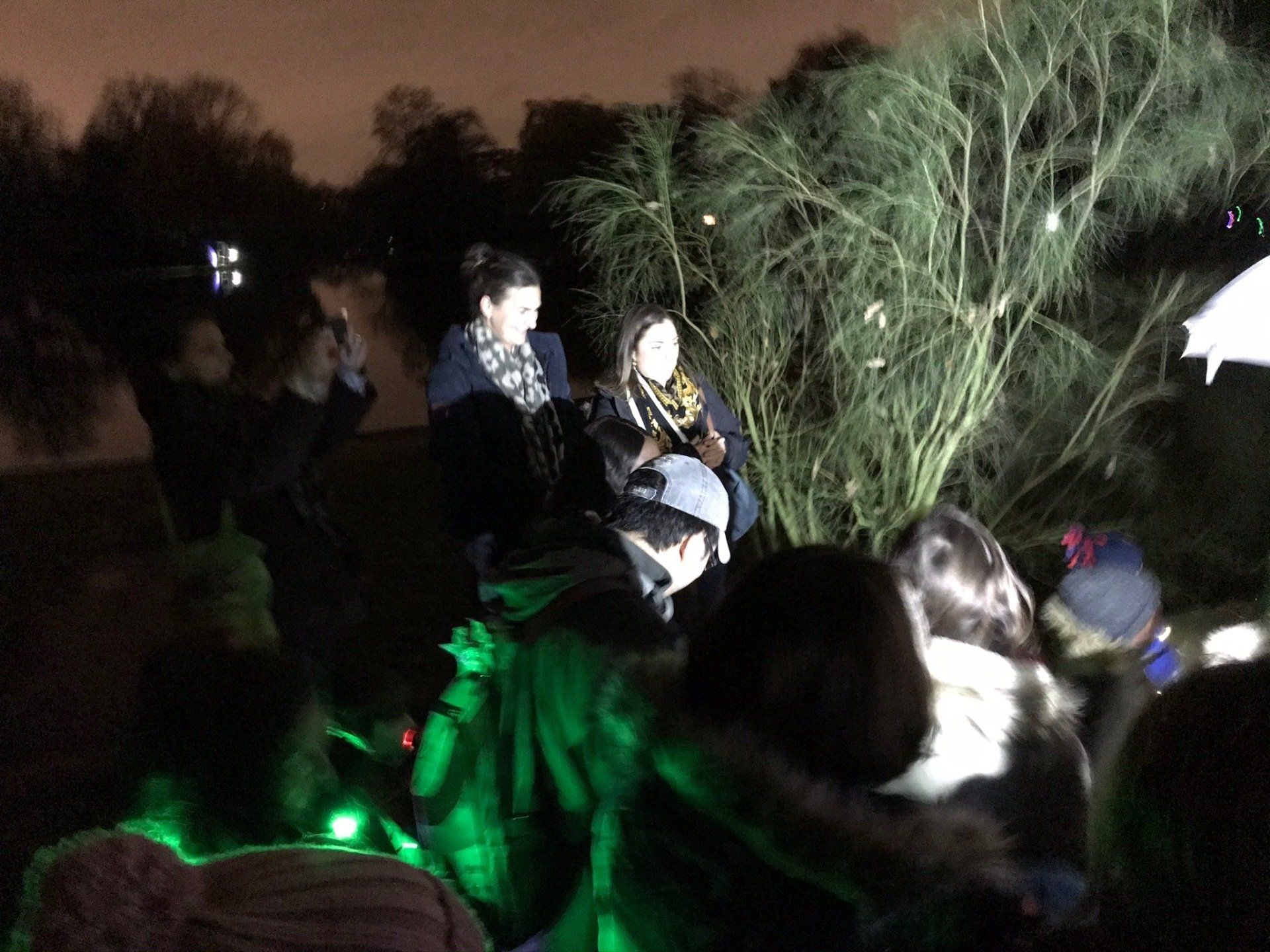 A group of people are standing around a tree at night.