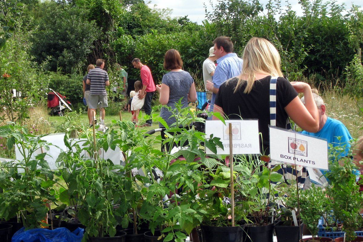 A group of people are looking at potted plants in a garden.