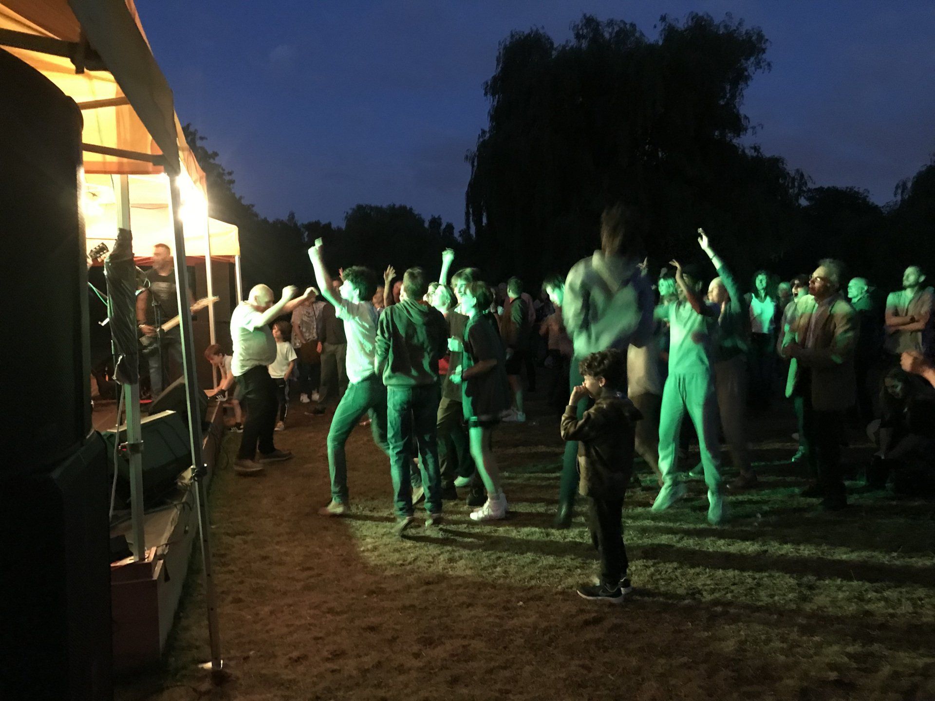 A group of people are dancing in a park at night.