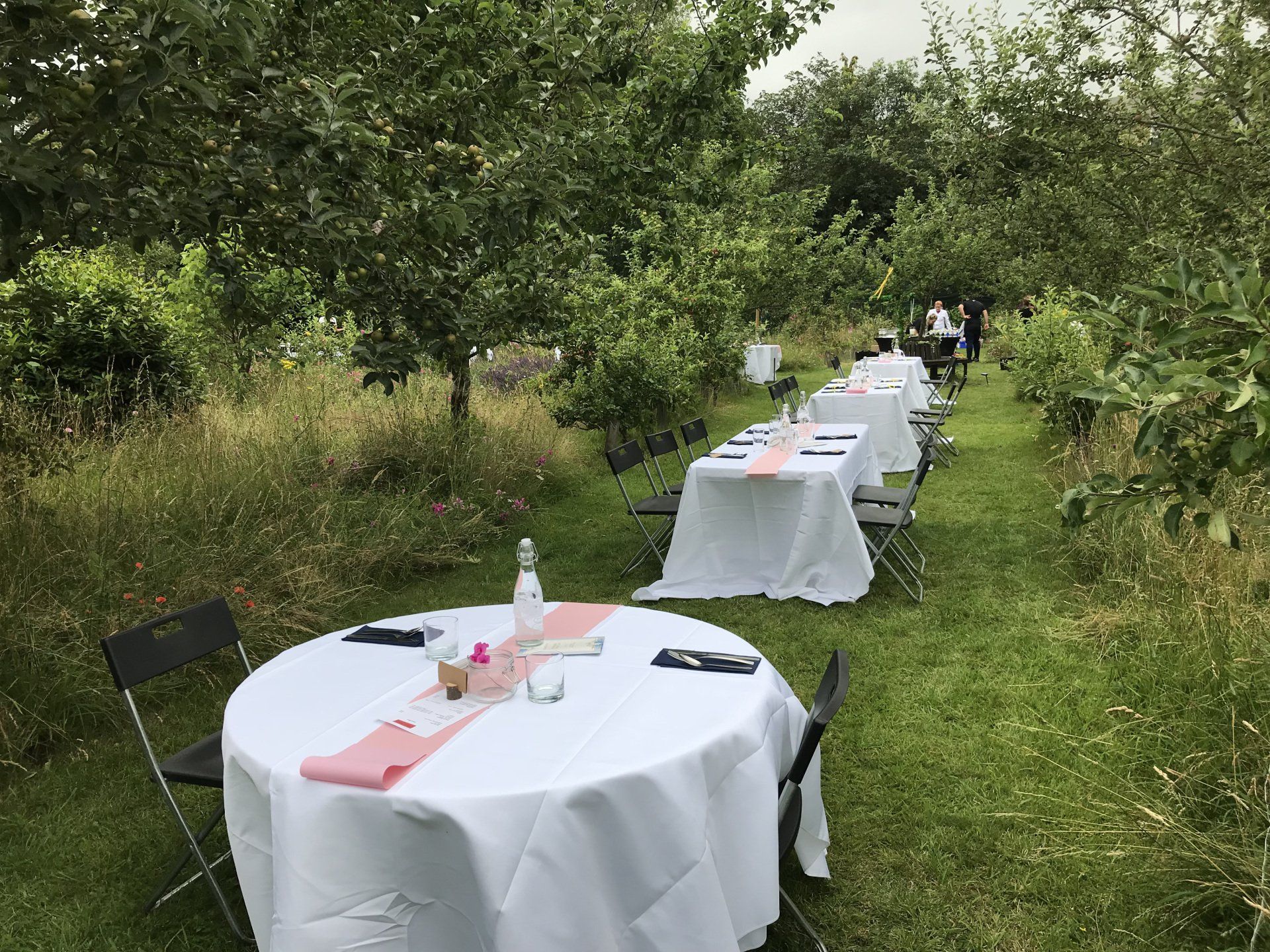 A row of tables and chairs set up in a grassy field.