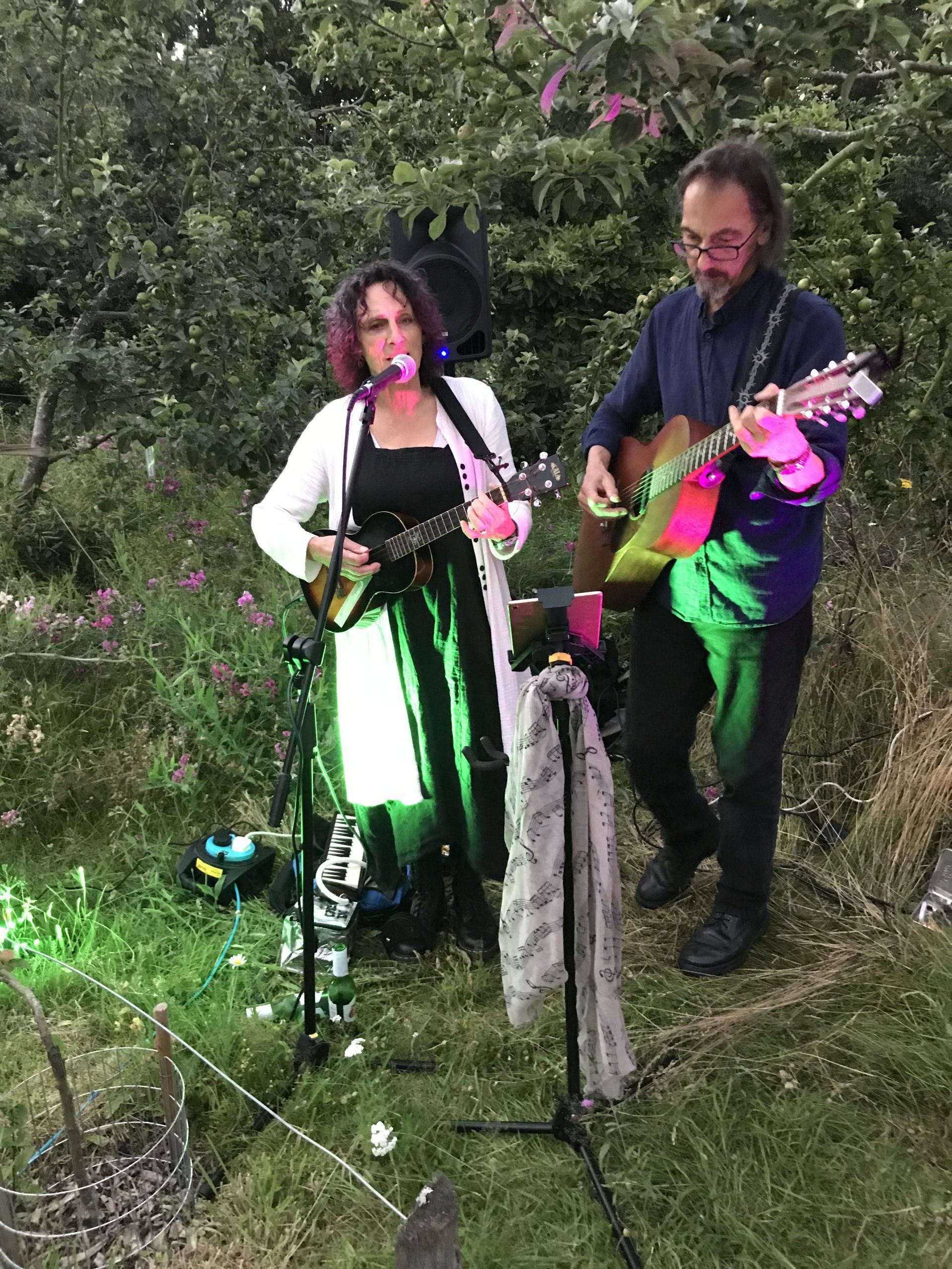 A man and a woman are playing guitars and singing into microphones.