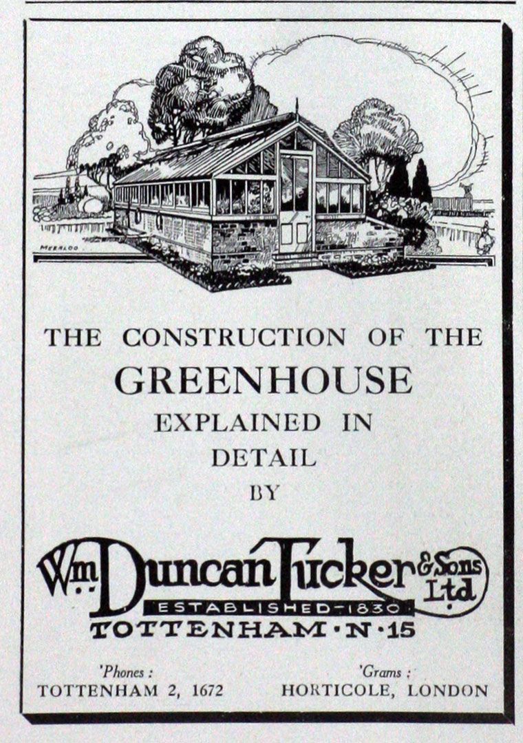 Wm Duncan Tucker & Son advertisement
