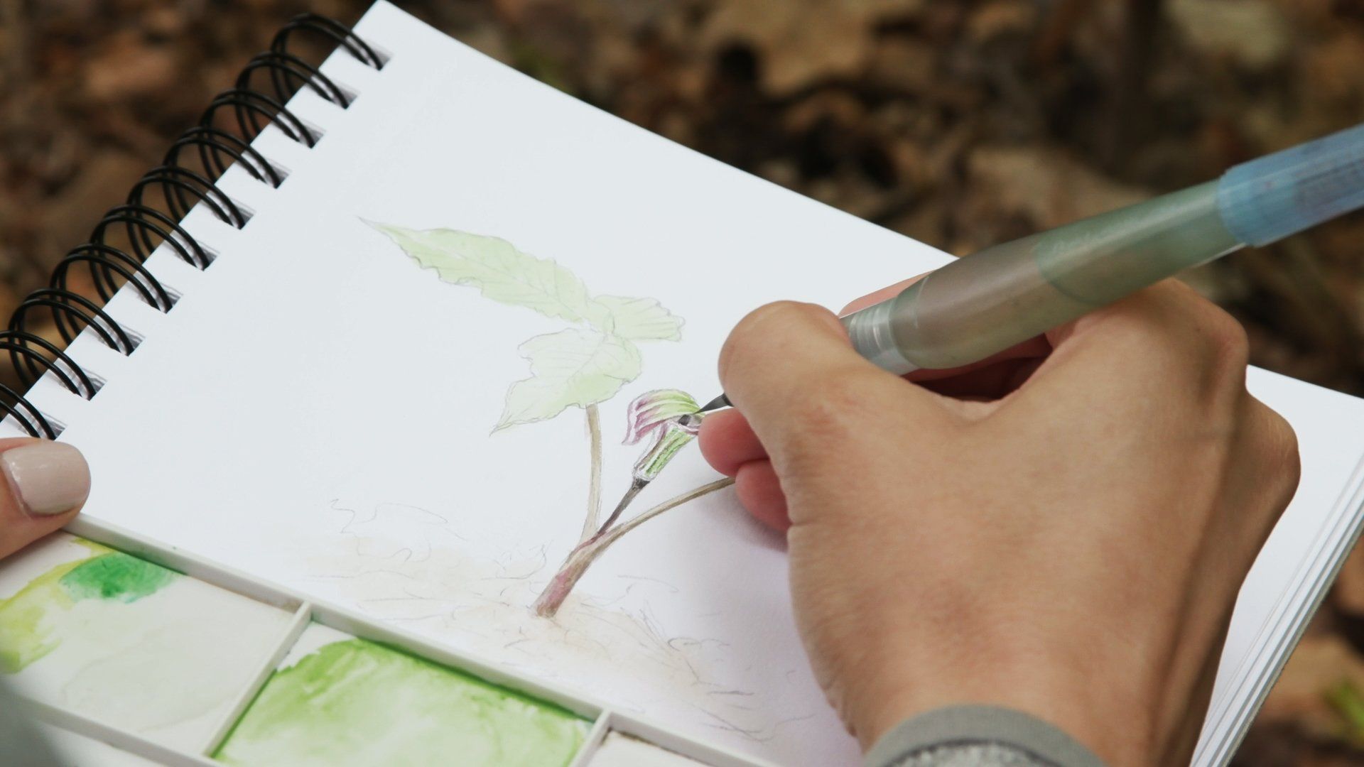 A person is drawing a flower in a notebook with a pen.