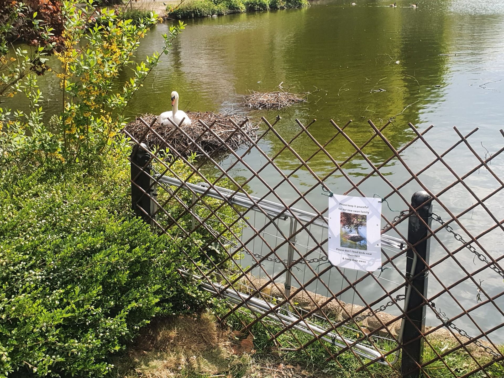 A fence with a picture of a swan on it