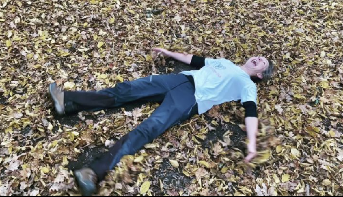 A person is laying on a pile of leaves.