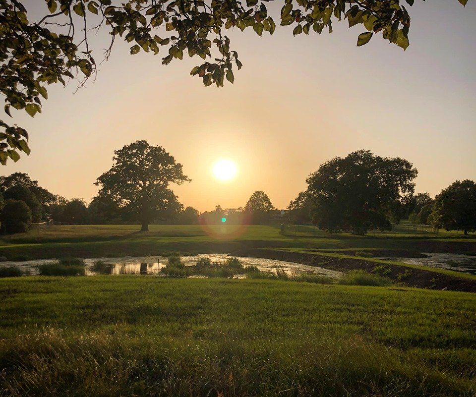 A sunset over broomfield park  with trees and a pond