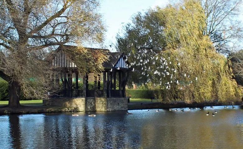 A view across the lower lake at Broomfield Park with the bandstand in the distance - a flock of birds is circling above the bandstand 