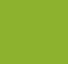 A close up of a bright green background.