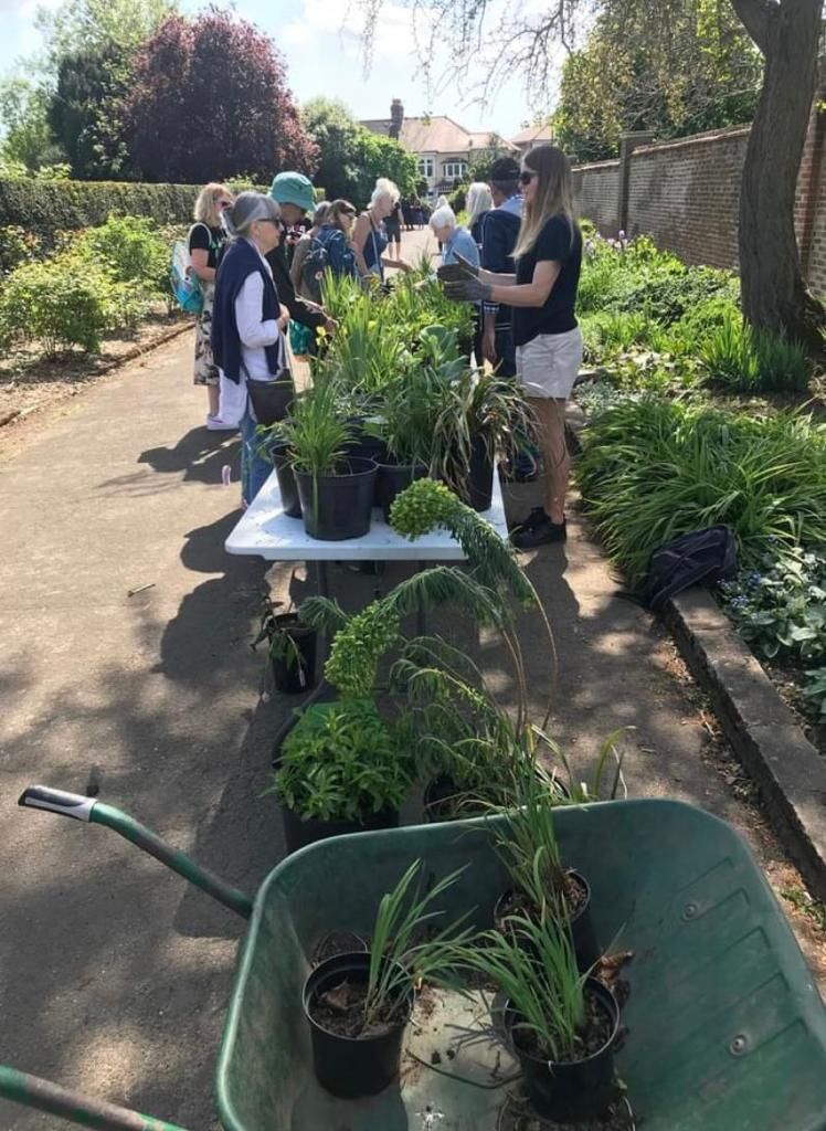 A group of people are standing around a table with potted plants.