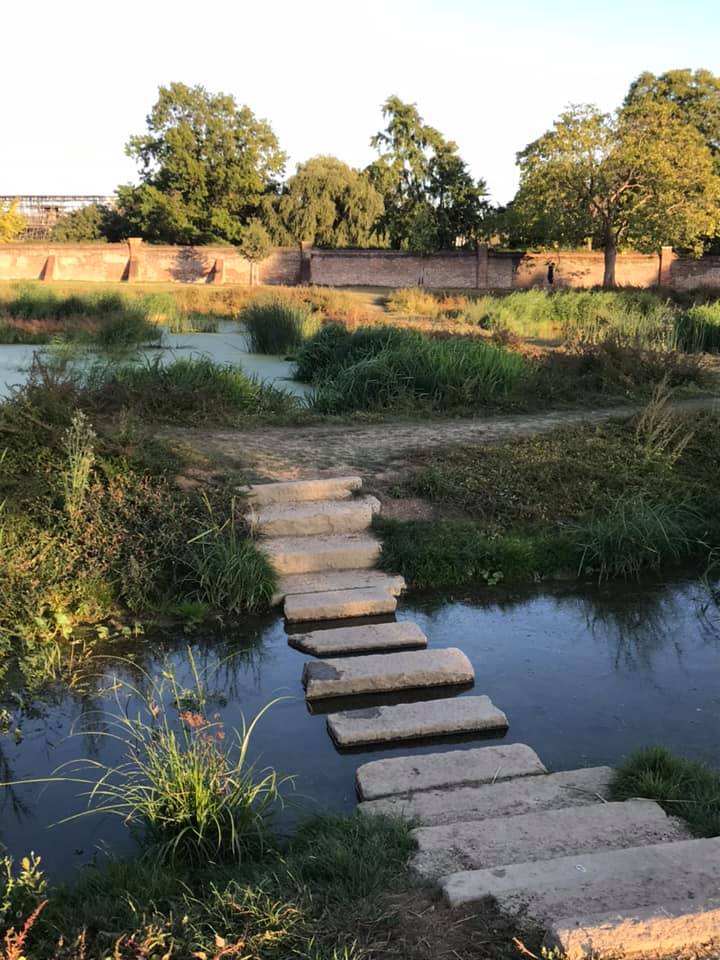 A row of stone steps leading over a body of water.
