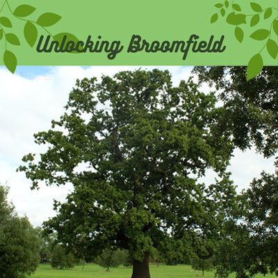 Broomfield Park Tree image