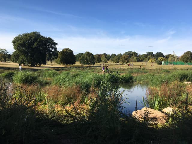 A seagull perched on top of a wooden roof