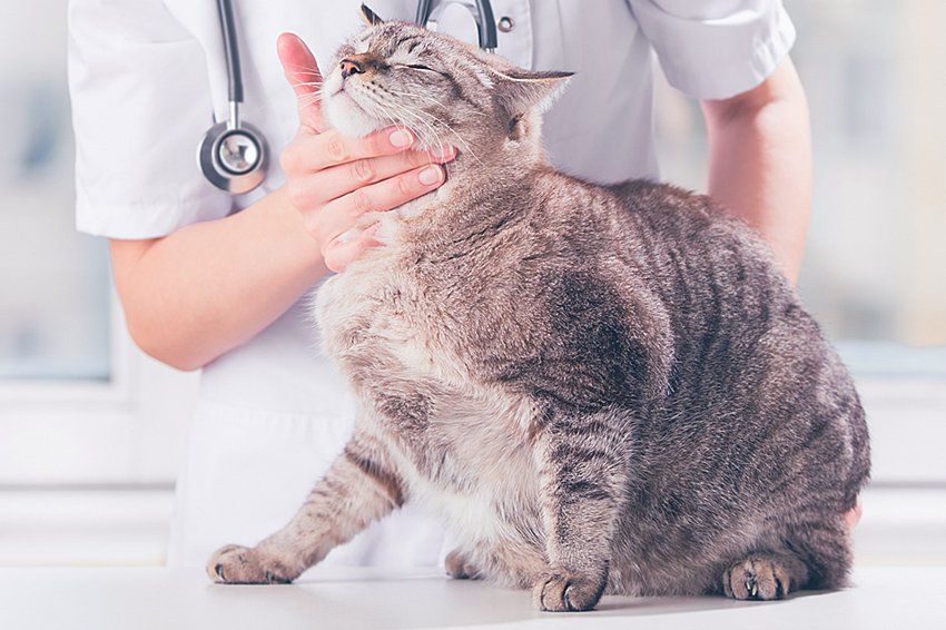 Full range of services