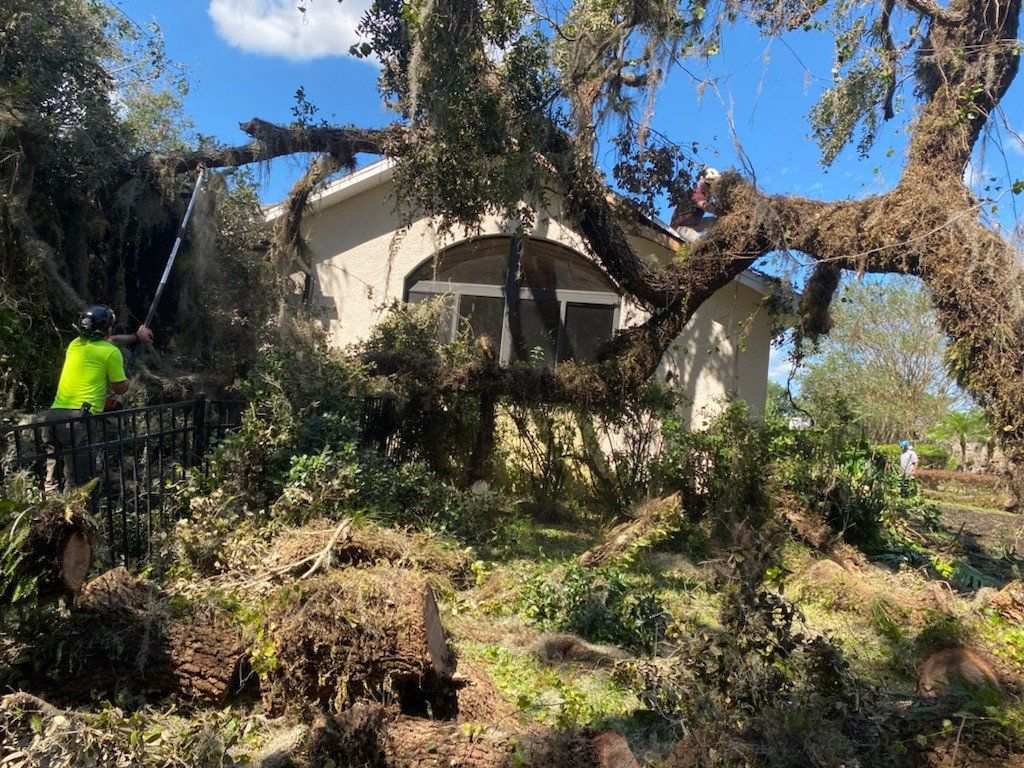 Mossy Tree Backyard – Merritt Island, FL – Redwine’s Tree Service