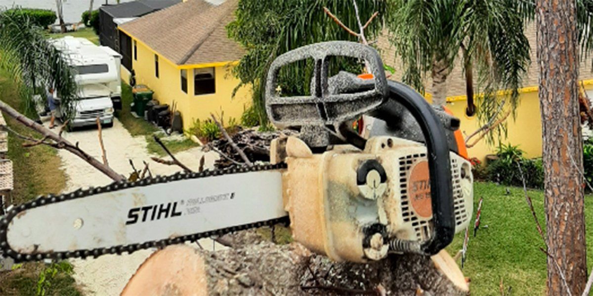 Old Chainsaw – Merritt Island, FL – Redwine’s Tree Service