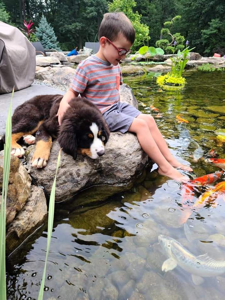 frequently asked questions - songbird ponds