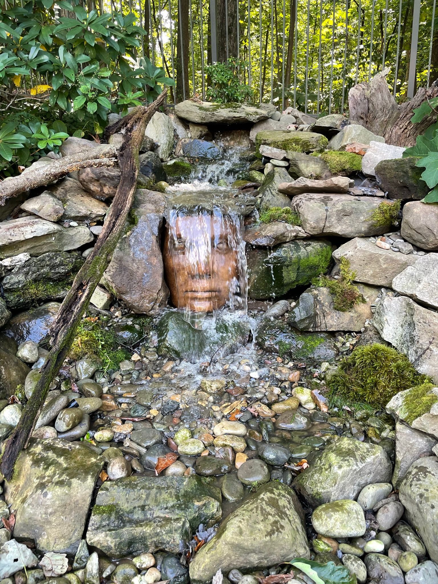 frequently asked questions - songbird ponds