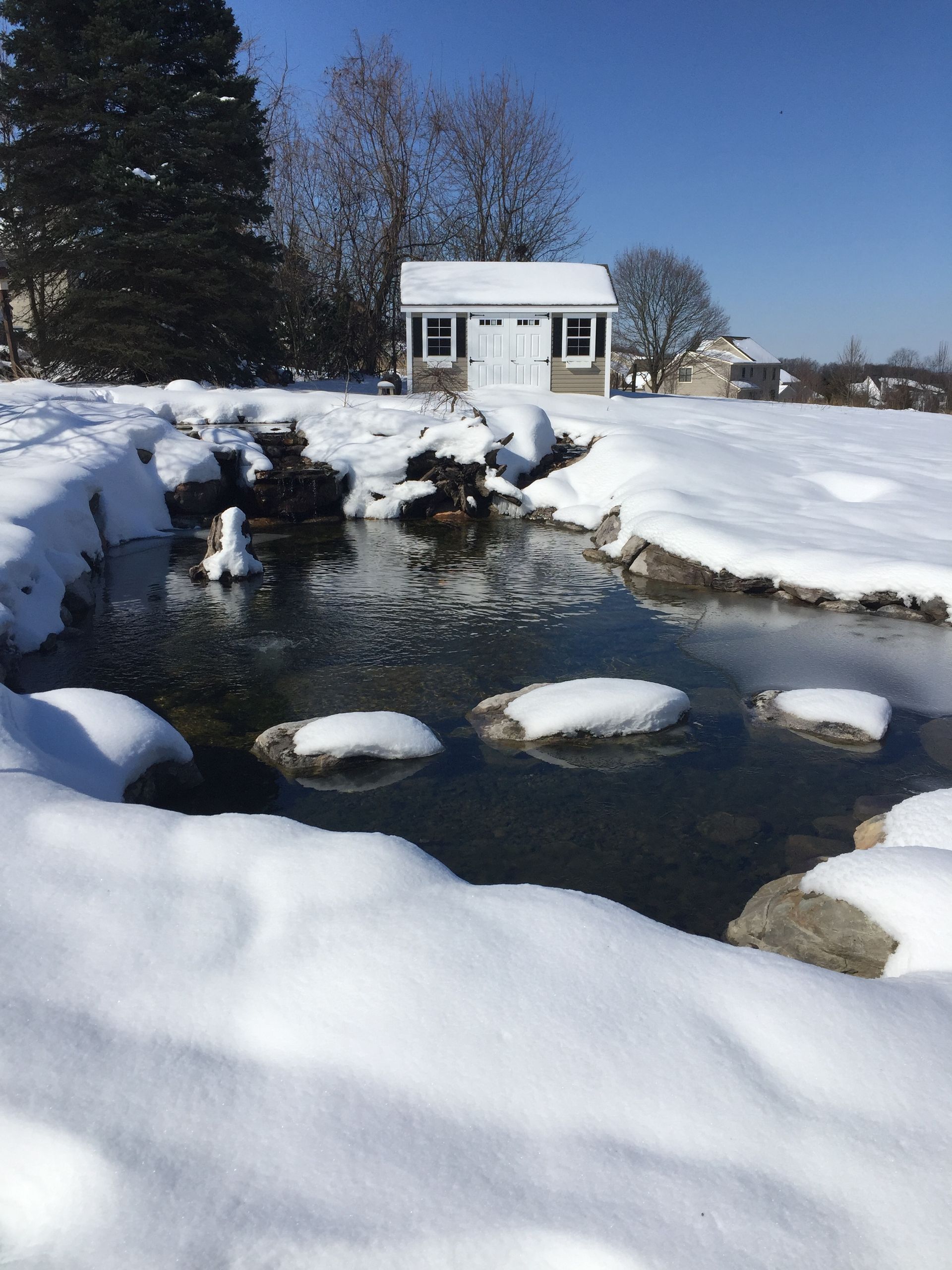 pond in winter