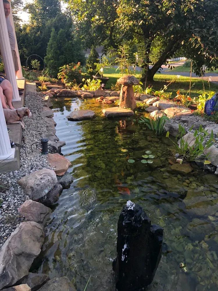 Pond with rocks and plants. A stone lantern is in the middle. Trees and a house in the background.