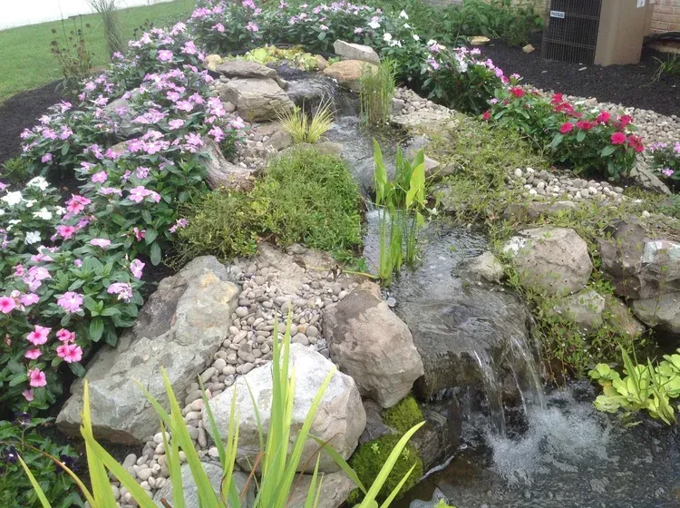 frequently asked questions - songbird ponds