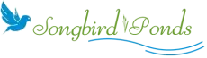 Blue bird logo with 