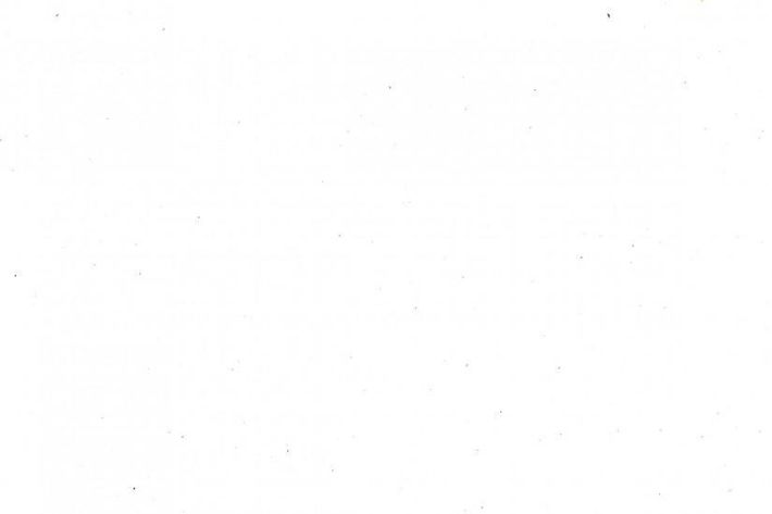 A white background for testimonials from people who have worked with Carly bush consulting 