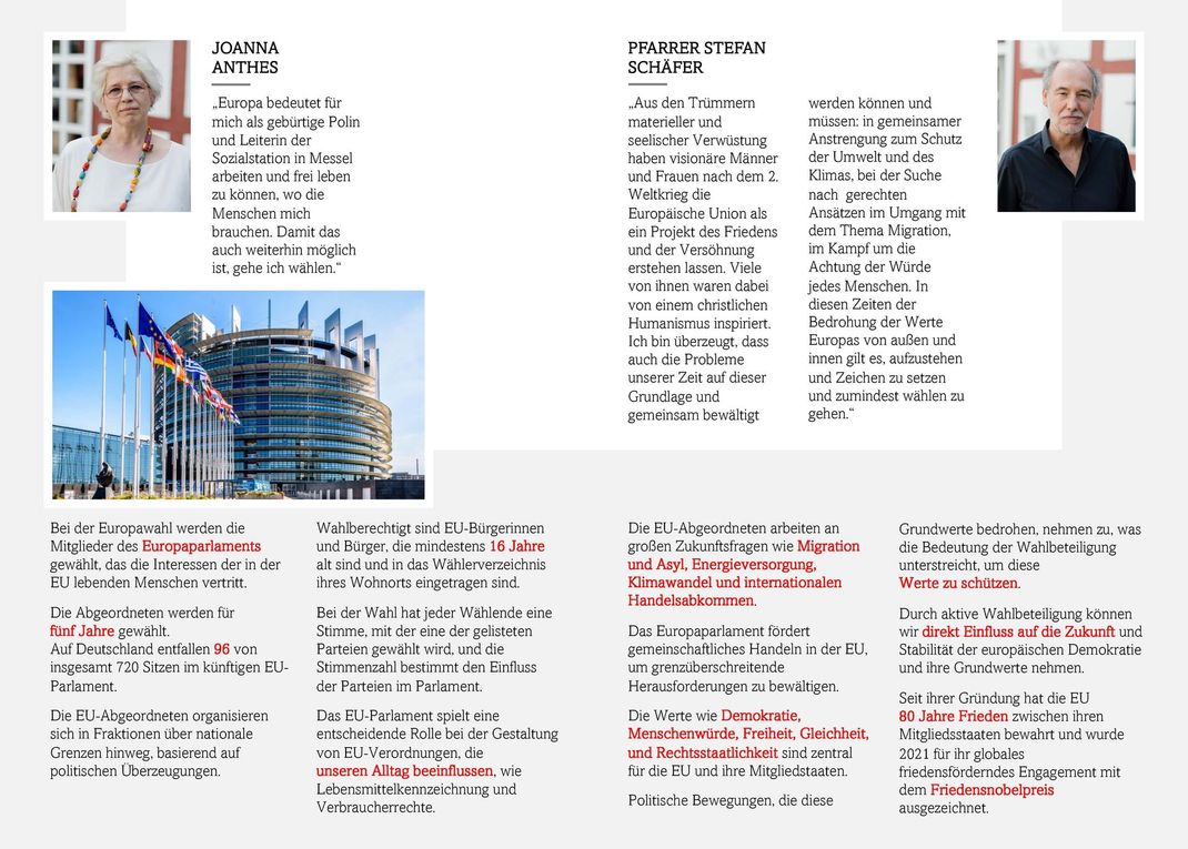 idm europawahl