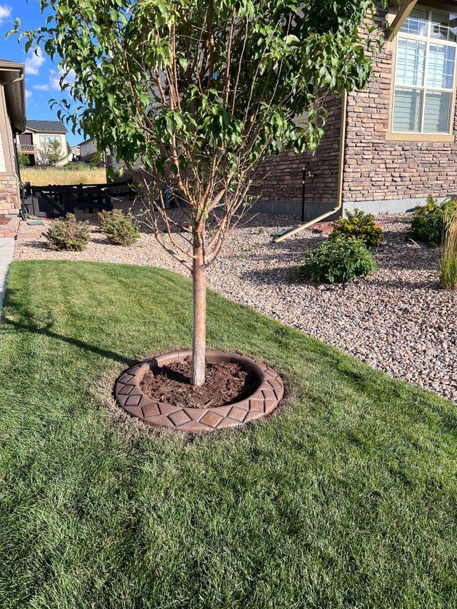 Lush Green Lawn in Front of a House — Centennial, CO — Colorado Curbing & Landscape