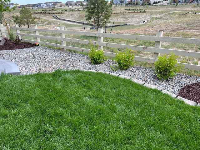 New Lawn — Centennial, CO — Colorado Curbing & Landscape