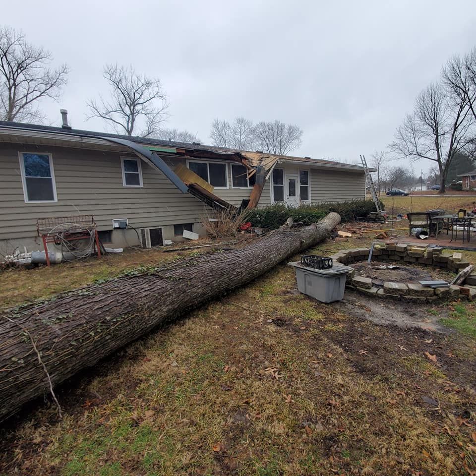 Emergency Tree Removal Virginia