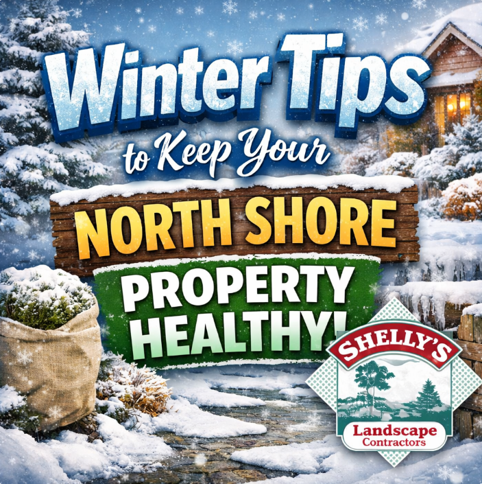 Winter landscape maintenance tips for North Shore properties from Shelly's Landscape Contractors.