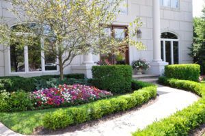 Plants And Flowers Outside The House — Northbrook, IL — Shelly’s Landscape 