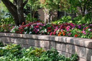 Lots Of Flowers — Northbrook, IL — Shelly’s Landscape 
