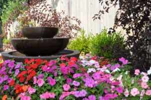 Flowers In The Garden — Northbrook, IL — Shelly’s Landscape 