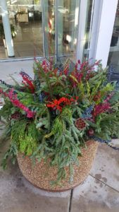 Lots Of Plants — Northbrook, IL — Shelly’s Landscape 