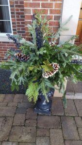 Potted Plants With Flowers — Northbrook, IL — Shelly’s Landscape 