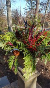 Red And Green Plants — Northbrook, IL — Shelly’s Landscape 