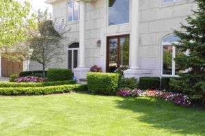 Lawn Garden — Northbrook, IL — Shelly’s Landscape