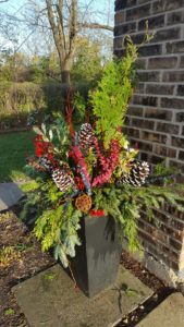 Potted Red And Green Plants — Northbrook, IL — Shelly’s Landscape 
